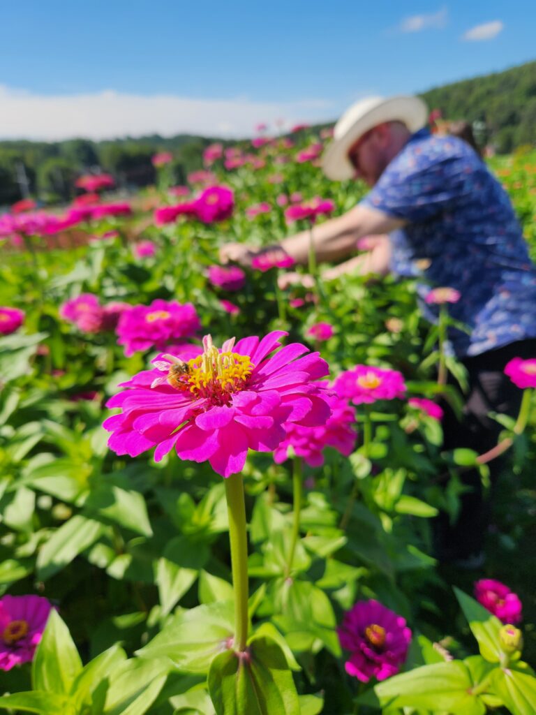 Rick Pinnone picking flowers